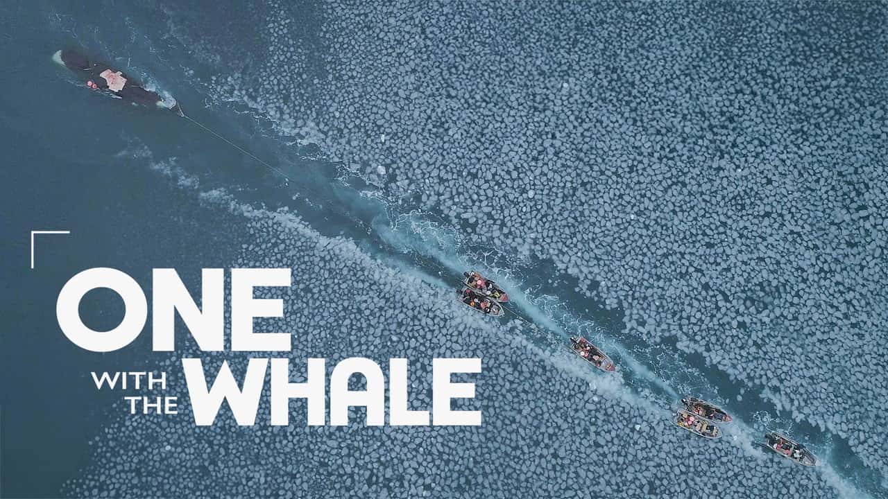 One with the Whale backdrop
