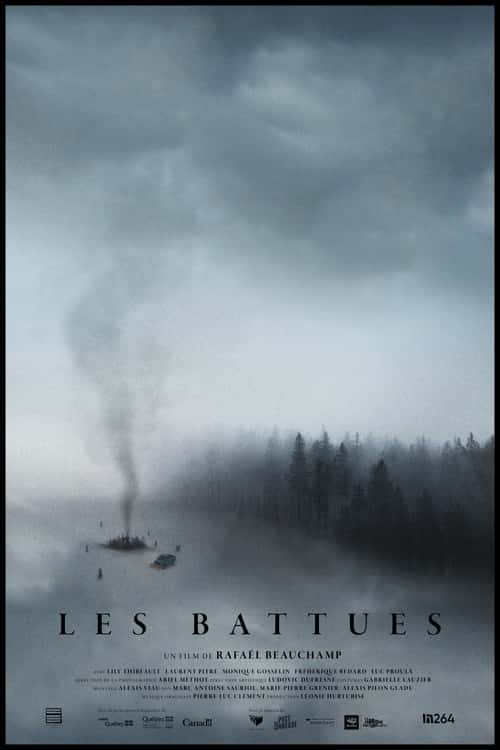The Fading poster