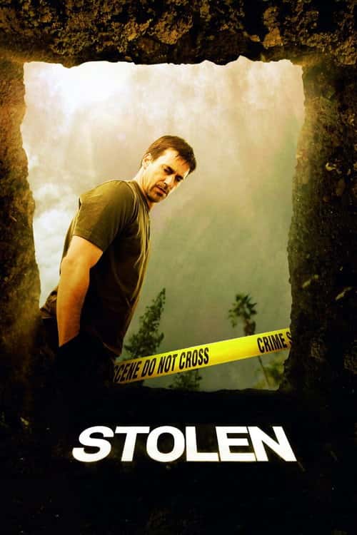 Stolen poster
