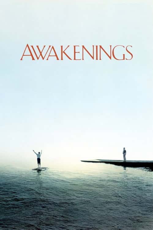 Awakenings poster