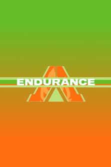 Endurance poster