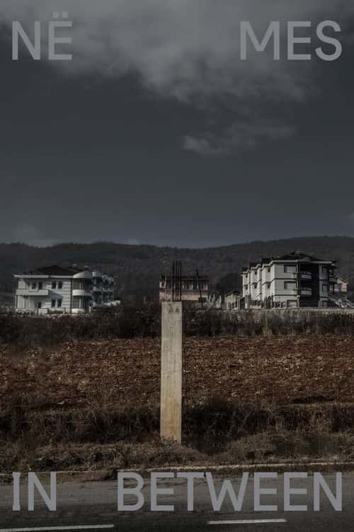 In Between poster