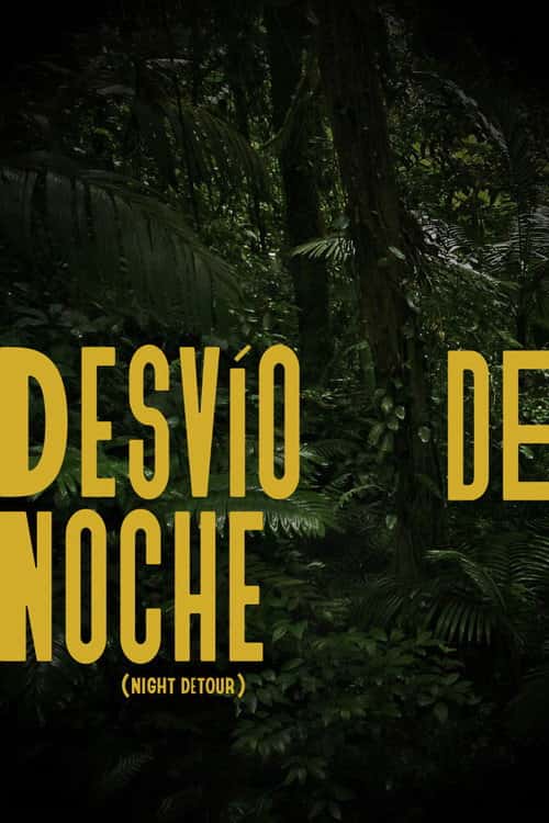 Night Detour poster