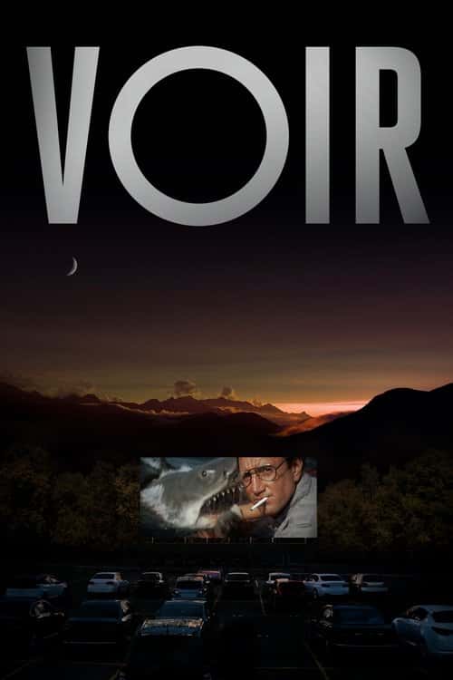 Voir poster