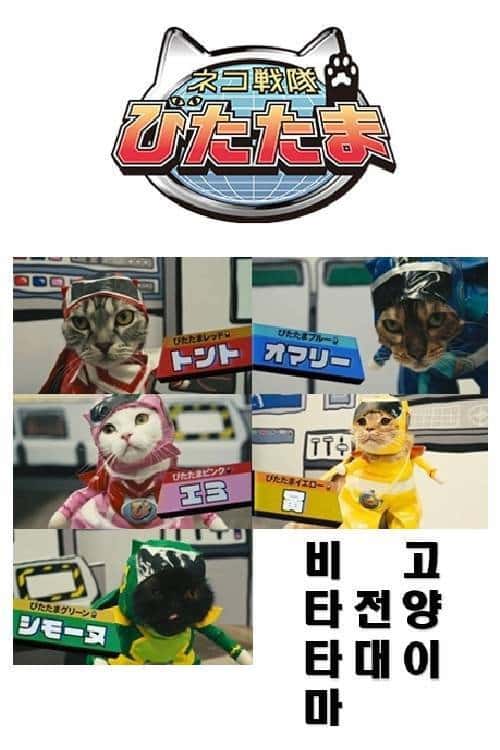 Cat Squadron Vitatama poster