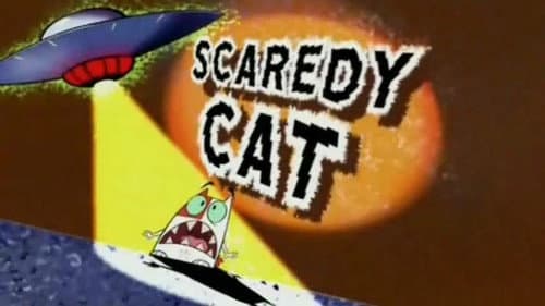 Scaredy Cat still