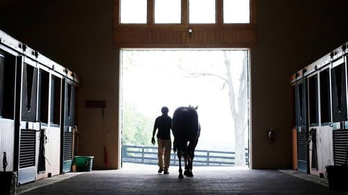 Broken Horses still