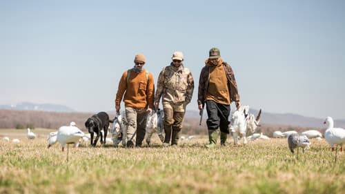 Episode 5 still