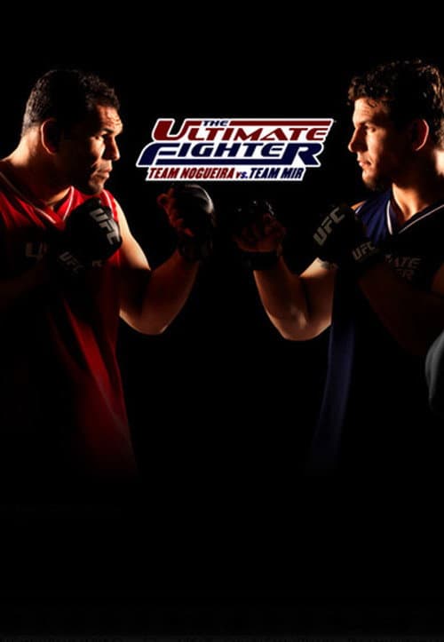 Team Nogueira vs. Team Mir poster