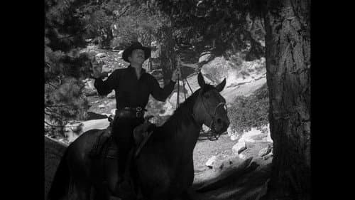 Marshal's Boy still