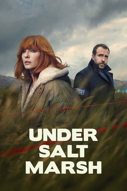 Miniseries poster