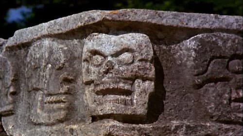 Aliens and the Secret Code still