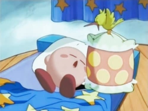 The Pillow Case still