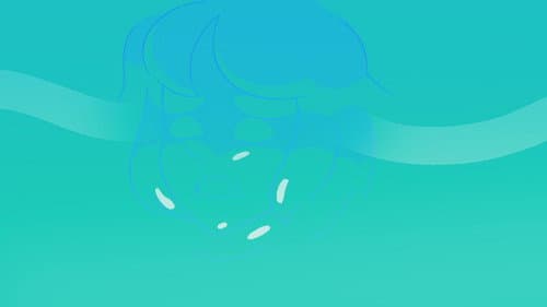 Ocean Gem still
