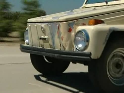 Erin's Volkswagen Thing still