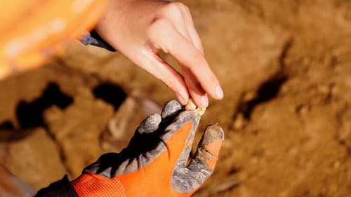 Mystery of the Lost Civilization still