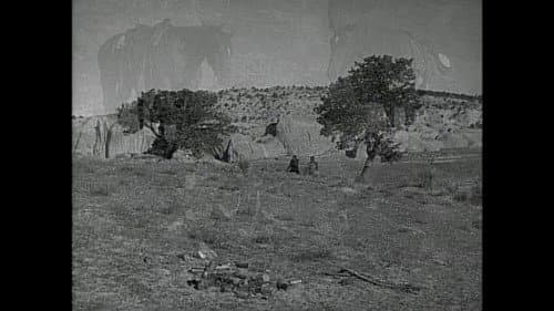 Comanche still