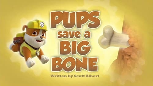 Pups Save a Big Bone still