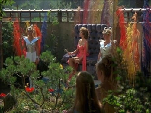 The Flight of the Great Yellow Bird / The Island of Lost Women still