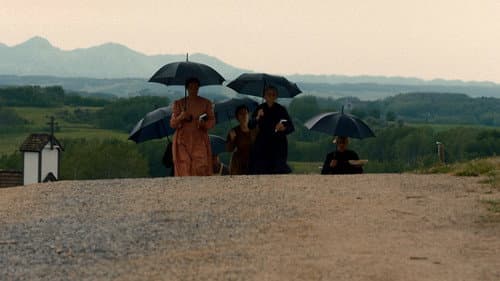 Wild Flower still