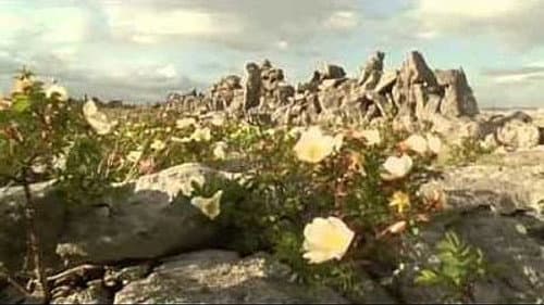 Ireland: Sculpted Isle still