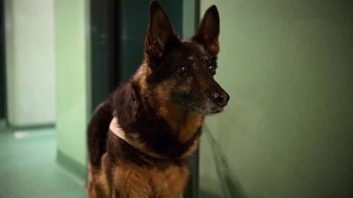 Episode 2 still