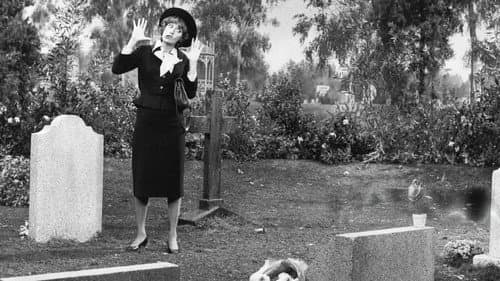 A Visit to the Cemetery still