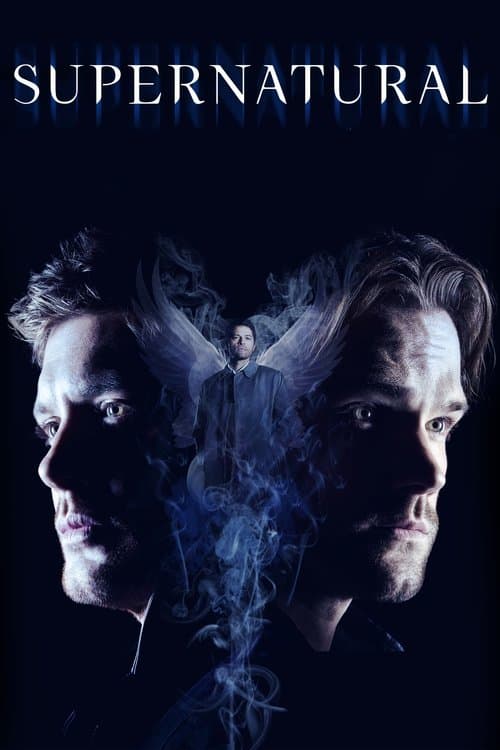 Season 14 poster
