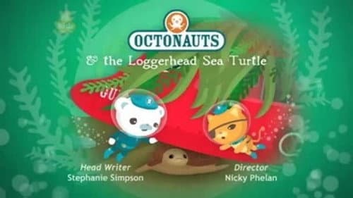 The Loggerhead Sea Turtle still