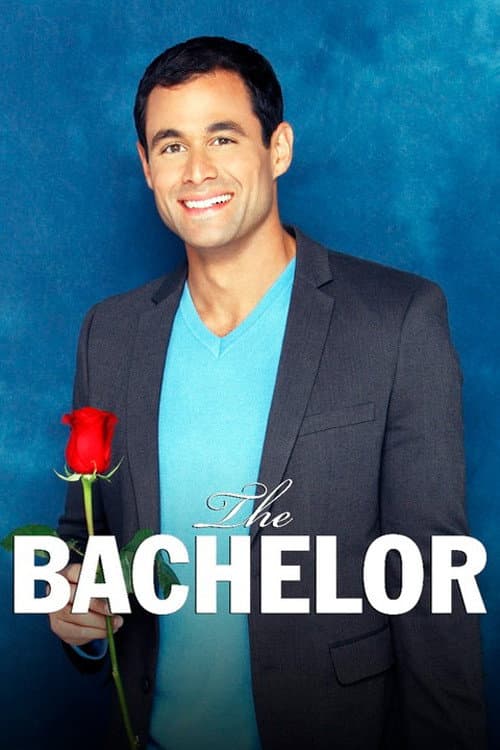 Season 13 poster