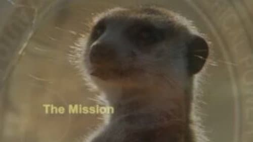 The Mission still