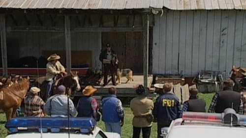 Murdering Cowboy still