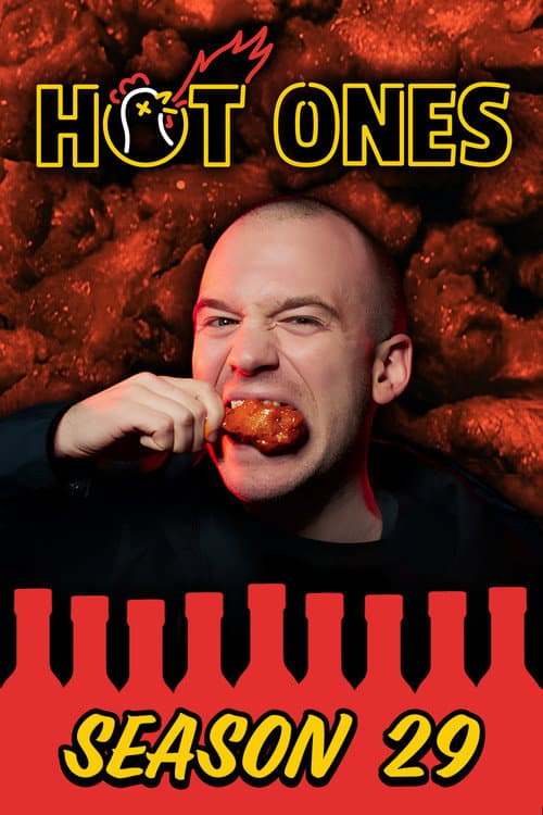 Season 29 poster