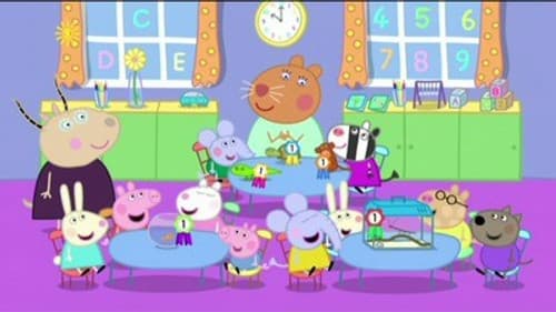 The Pet Competition still
