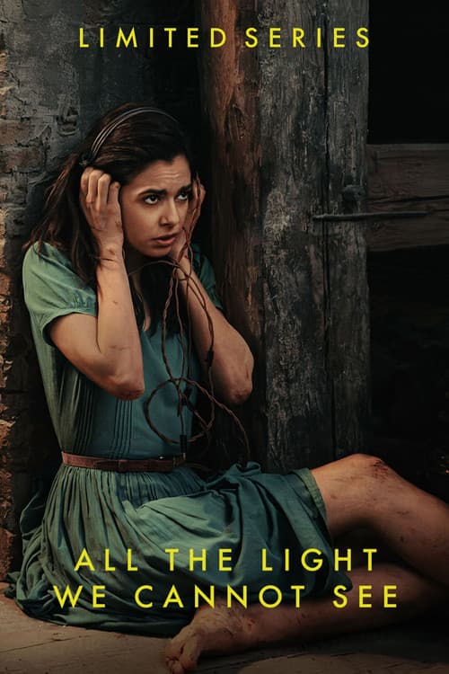 Limited Series poster