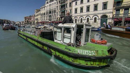 Trash Collecting in Venice, Australian Sheepskin, Pond Algae still