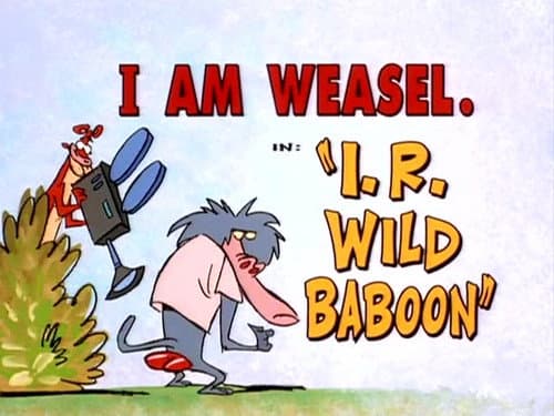 I.R. Wild Baboon still
