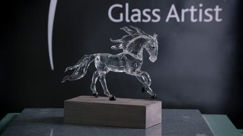Glass Sculptures, Racing Pulley Systems, Inductors, Medicine Balls still