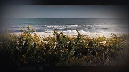 The Hunt for the Gilgo Beach Killer still