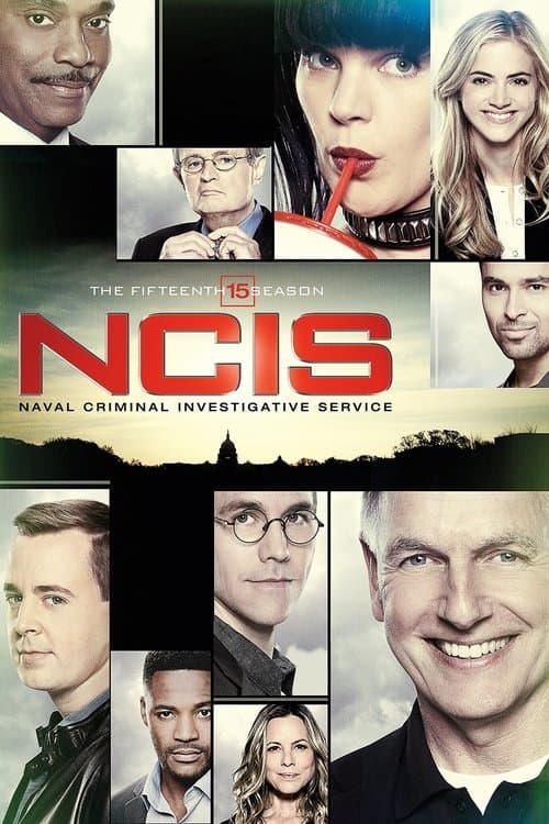 Season 15 poster