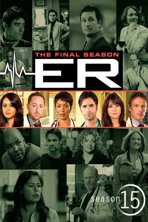 Season 15 poster