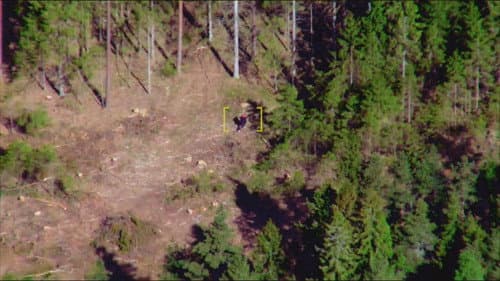 Car chase ends in the woods still