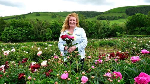 Wildlife Gardens and Peonies still