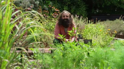 Episode 13 Lavender Farm, Bath Tub Pond & Arid Plants still
