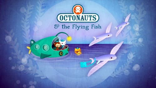 The Flying Fish still