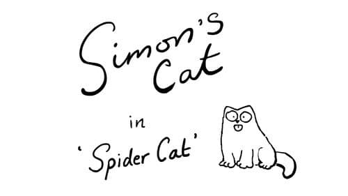 Spider Cat (Halloween Special) still