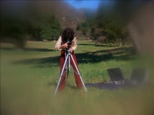 Photographs / Royal Flush still