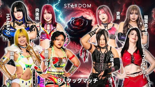 Stardom GW Tour 2026 in Fukuyama still