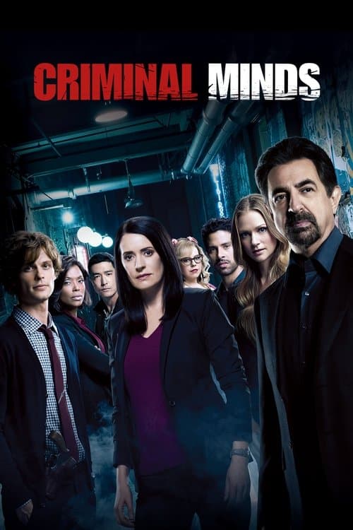 Season 13 poster