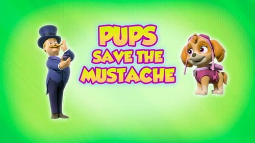 Pups Save the Mustache still